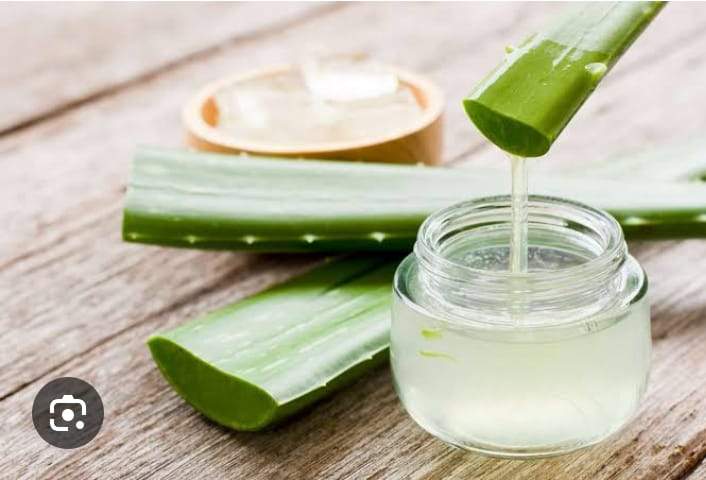 Aloe veera Hydrosol Extract (100gms)