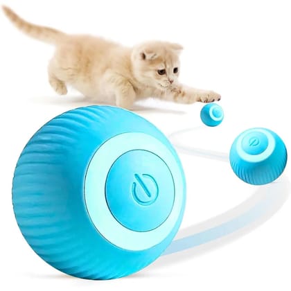 Pets Smart Gravity 360  Self Roller Ball Toy