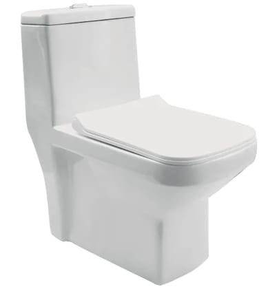 FLNAGA EWC with Soft Close Seat Cover & Flushing Kit