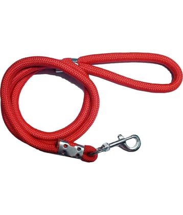 Dog - Red Leash ( Small )