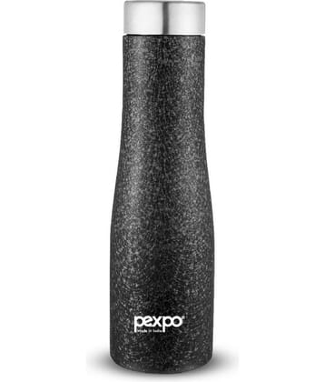 PEXPO 750 ml Stainless Steel Fridge Water Bottle (Set of 1, Black, Monaco)