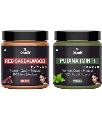 Oilanic 100% Red Sandalwood Powder & Pudina Powder For Skincare Hair Mask 200 g Pack of 2