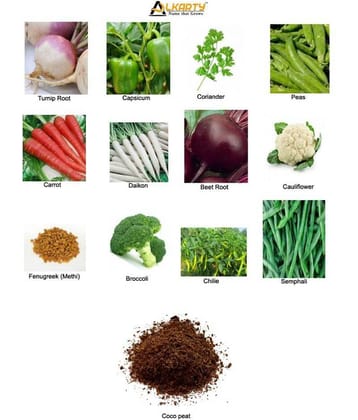 winter garden 12 vegetables seeds with growing soil
