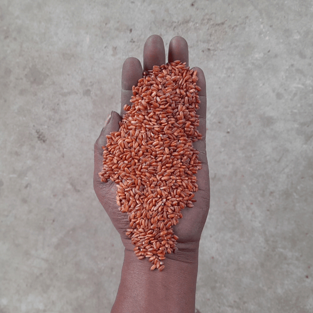 Red Rice | Himalayan (30Kg Bag)