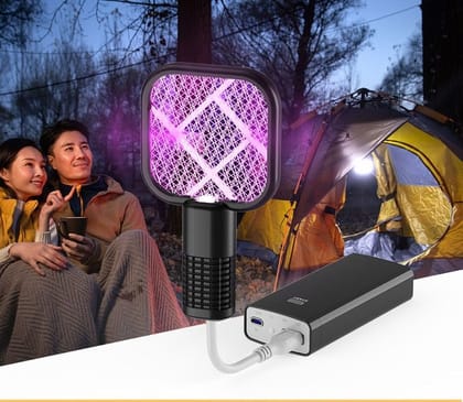 2 in 1 Mini Mosquito Killer Lamp