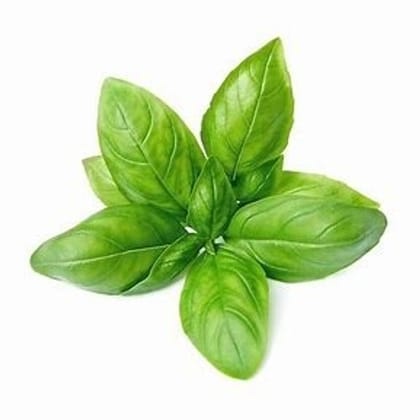Basil - Tulsi Patta  (Approx. 100-125 gm)