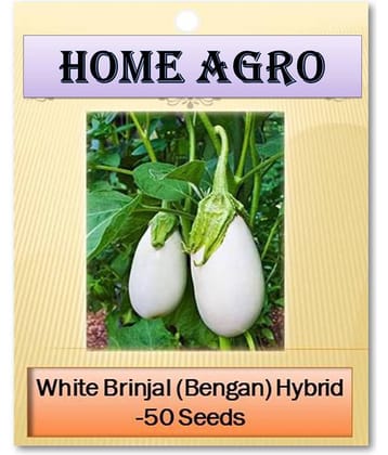 HN organic seed - Vegetable Seeds ( 50 )