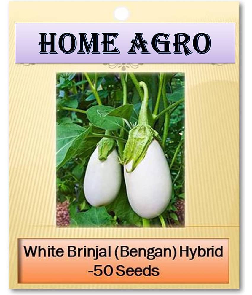 HN organic seed - Vegetable Seeds ( 50 )