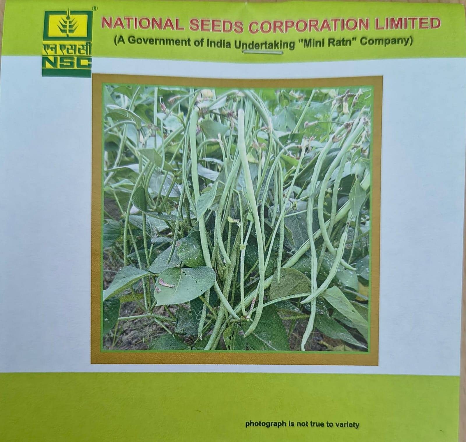 NSC Cowpea Kashi Nidhi - 20 gm