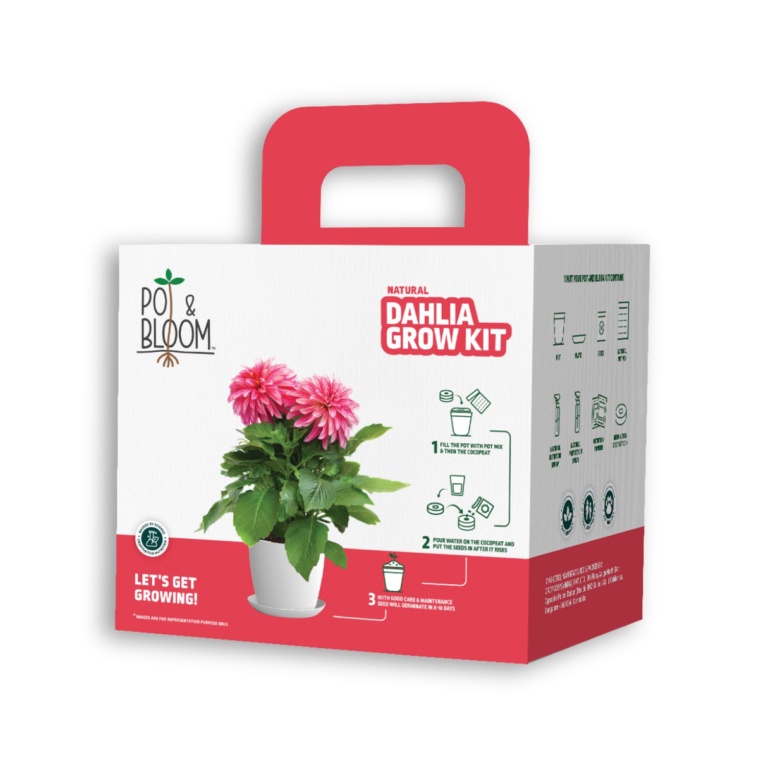 Dahlia Kit
