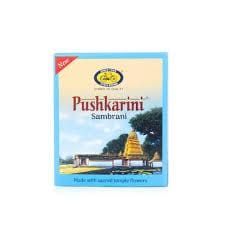 CY PUSHKARINI SAMBRANI 10N