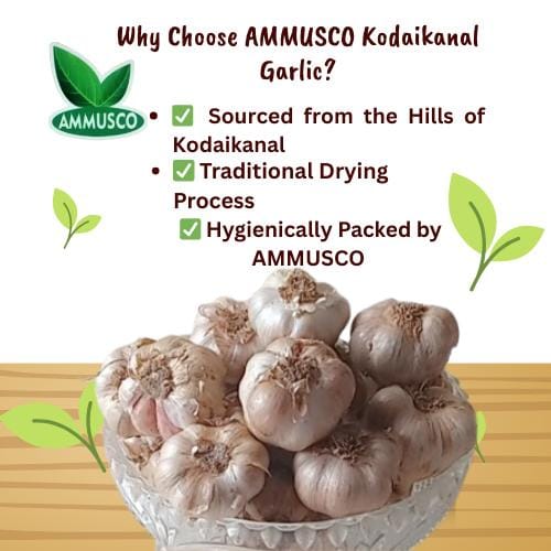 AMMUSCO Premium Kodaikanal Hill Garlic – Natural Whole Garlic Bulbs High Aroma Farm Fresh Quality