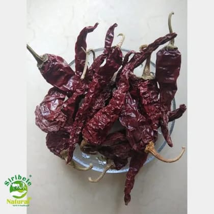 Byadagi chilli
