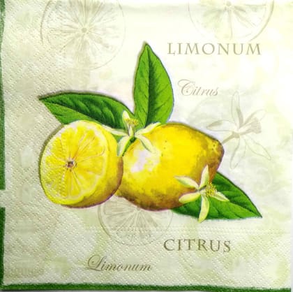 Decoupage Napkin / Tissue papers - 33cm by 33cm - GT2077