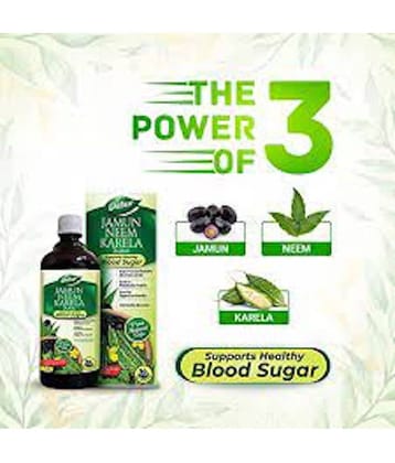 Dabur Jamun Neem Karela Juice 1L, Control Diabeties, Improves Metabolism & Immunity (Pack of 2)