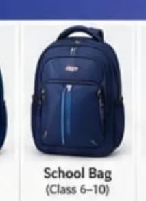 School Bag (Class 6-10)