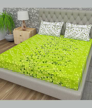 Cosito Cotton 1 Double Bedsheet with 2 Pillow Covers ( Green )