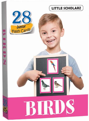 Flash Cards - BIRDS [Paperback] [Jun 02, 2022] LS Editorial Team