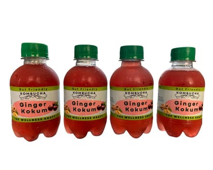 The Wellness Kraft Kombucha | Natural Gut Friendly Tea | Detox & Wellness Drink | Fermented, All Natural, Gut Healthy Drink | 200 ML (Pack of 4) (Kokum & Ginger)