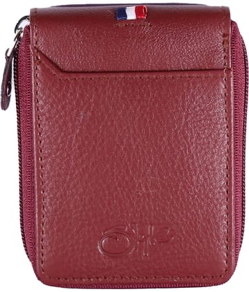 STYLE SHOES Leather Card Holder ( Pack 1 )