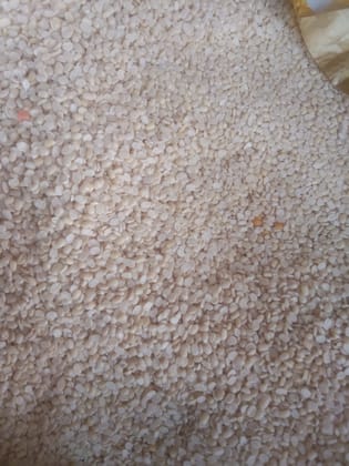 Urad dhuli loose