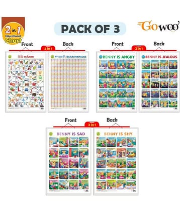 Set of 3 | 2 IN 1 HINDI VARNMALA AND BAARAHKHADEE, 2 IN 1 BENNY IS ANGRY AND BENNY IS JEALOUS and 2 IN 1 BENNY IS SAD AND BENNY IS SHY Early Learning Educational Charts for Kids