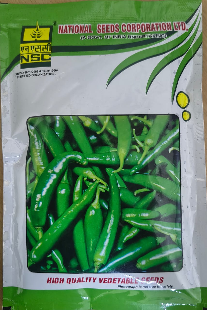 NSC Chilli Kashi Anmol Seed, 50gm