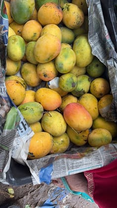 Mango Aam 1 KG