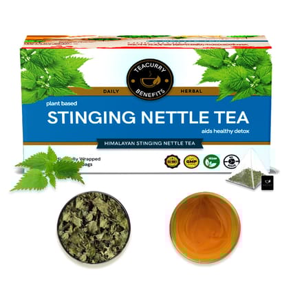 TEACURRY Stinging Nettle Tea (1 Month Pack | 30 Tea Bags) - Helps with Kidney Detox, Blood Sugar, Blood Purify