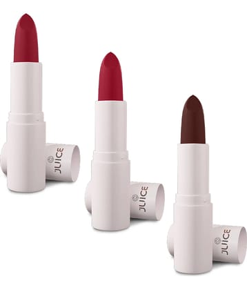 Juice Multi Matte Lipstick 300