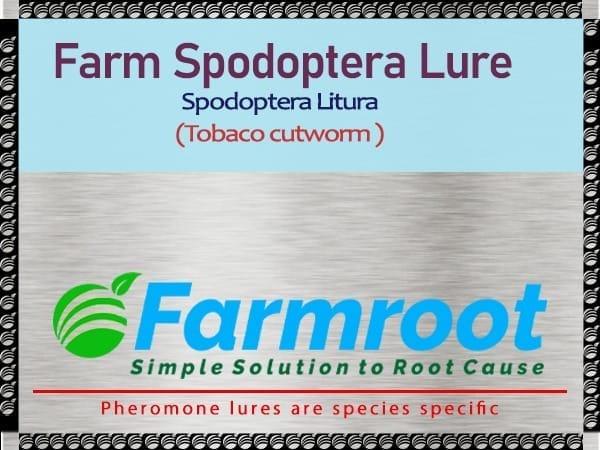 FARMROOT SPODOPTERA LITURA   PACK OF 4 UNITS