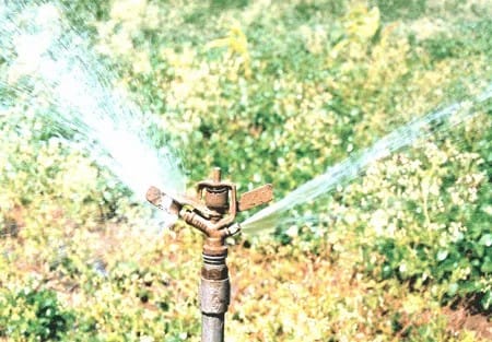 Sprinkler System