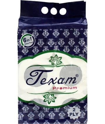 Texam 2 Ply Soft And Highly Absorbent Toilet Tissue Paper | 100% Natural Virgin Cellulose Fiber - Pack of 6 (220 Pulls Per Roll, 1320 Sheets)