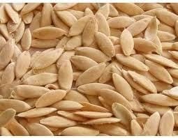 CUCUMBER SEED 50G