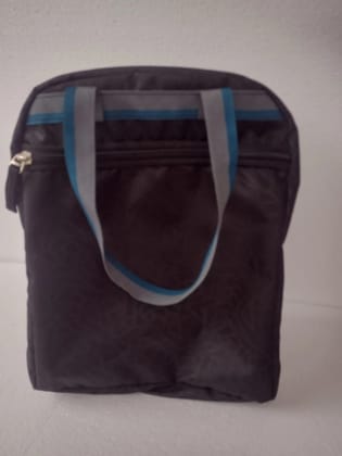 Insulated Lunch Bag for Adults and Kids