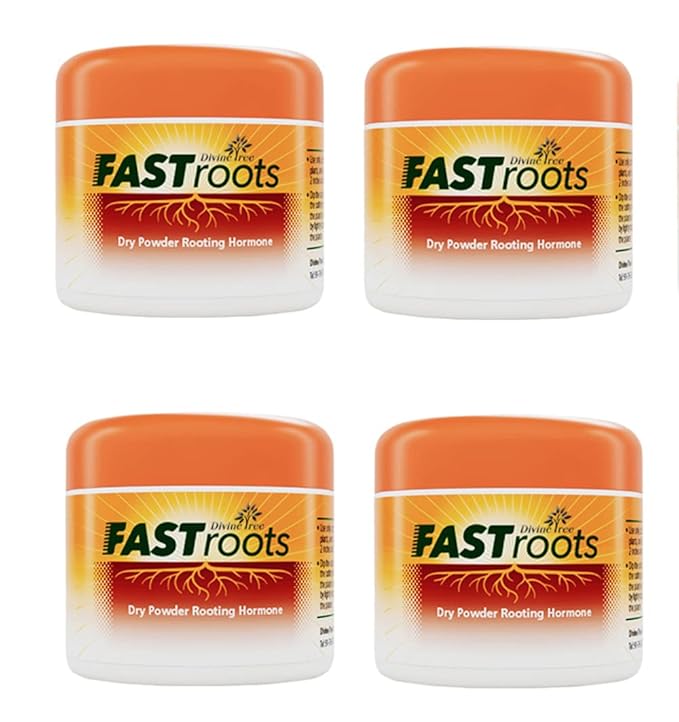 DIVINE TREE Fast Root Dry Rooting Hormone Powder For Plants Cuttings-Ideal for rapid rooting & propagating all plants-Enhances Root Development for Plants-Boosts Propagation Success Rate-50gm(PACK-4)