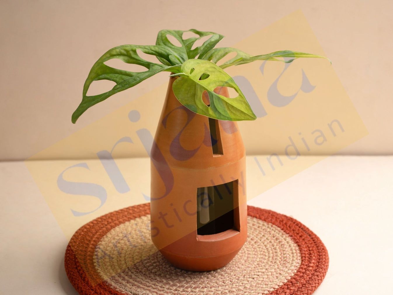 Srjana Terracotta Bottle Shaped Indoor Planter with Glass Tube single pc