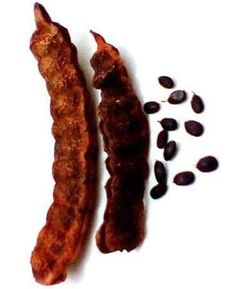 MYGODGIFT SHIKKAKAI Acacia Concinna | Sabut Shikakai in Raw form 100 gm