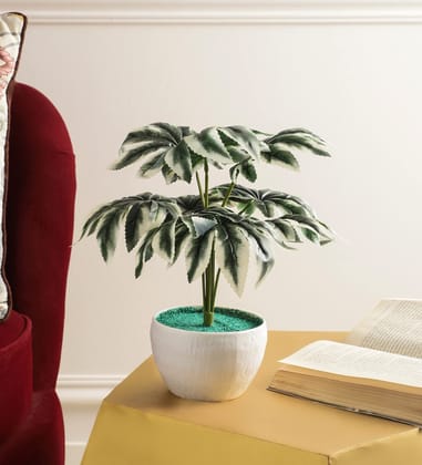 Foliyaj Real Look Artificial spidersweb Plant with Pot|Bonsai Tree|Artificial Flower|with Pot|Home D�cor for Living Room Home Office Shop|House|Gift|Decoration