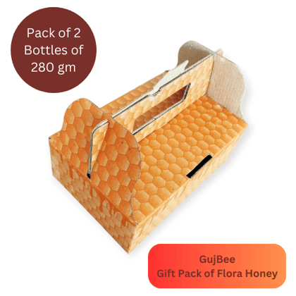 GUJBEE Festival Gift Pack of 2 – Infused Honey (Ginger Honey and Ashtramrut Honey) – 280 gm Each