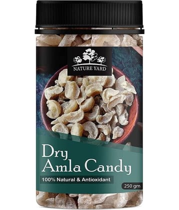 NATURE  CHEF NATURE CHEF AMLA CANDY (PACK OF 2)