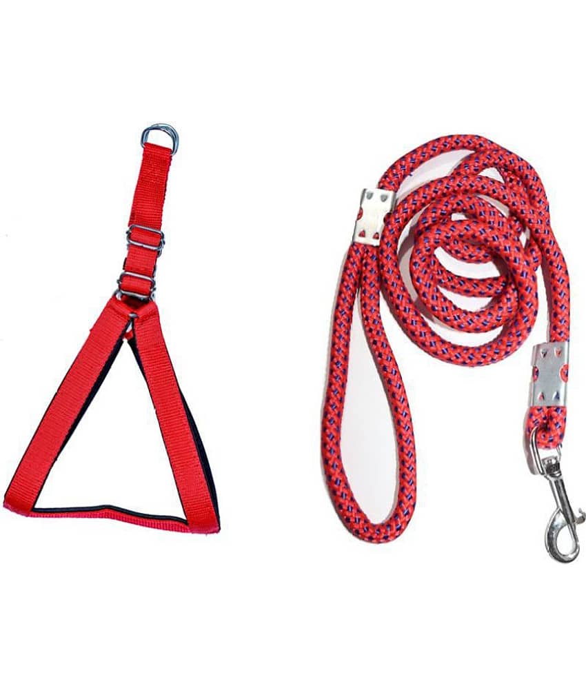 Tame Love Padded Harness and Leash for Adult Dogs of All Breeds (Blue Color - 1.25 inches)