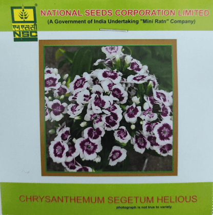 NSC Chrysanthemum Segetum Helious Flower Seed