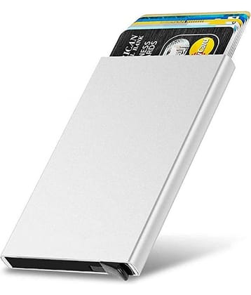 banistrokes Steel Card Holder ( Pack 1 )