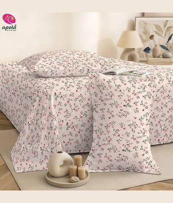 Apala Cream Microfiber 1 Double King Bedsheet with 2 Pillow Covers ( 254 cm x 228 cm )