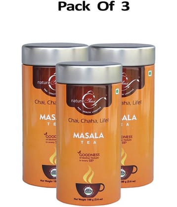 nature Chai Masala Chai Loose Leaf 100 gm Pack of 3