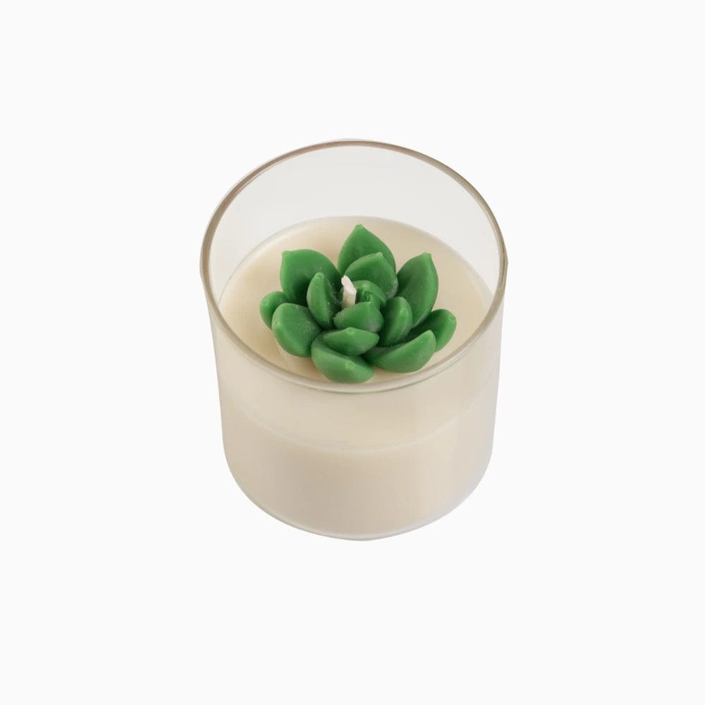 Luxury handcrafted scented soy candles-GOAT - Mango coconut