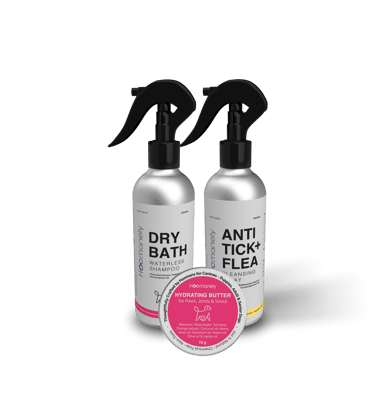 Hoomanely Glow & Guard Trio Pack-500ml