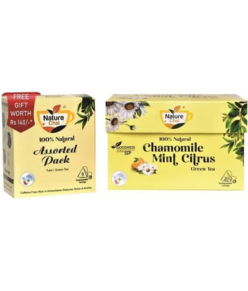 NATURE CHAI Chamomile Tea Bags 20 no.s