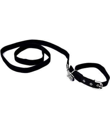 Tame Love - Red Dog Combo (Medium)